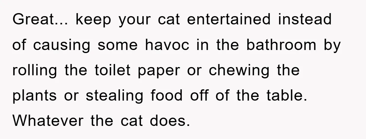 Great... keep your cat entertained instead of causing some havoc in the bathroom by rolling the toilet paper or chewing the plants or stealing food off of the table. Whatever...