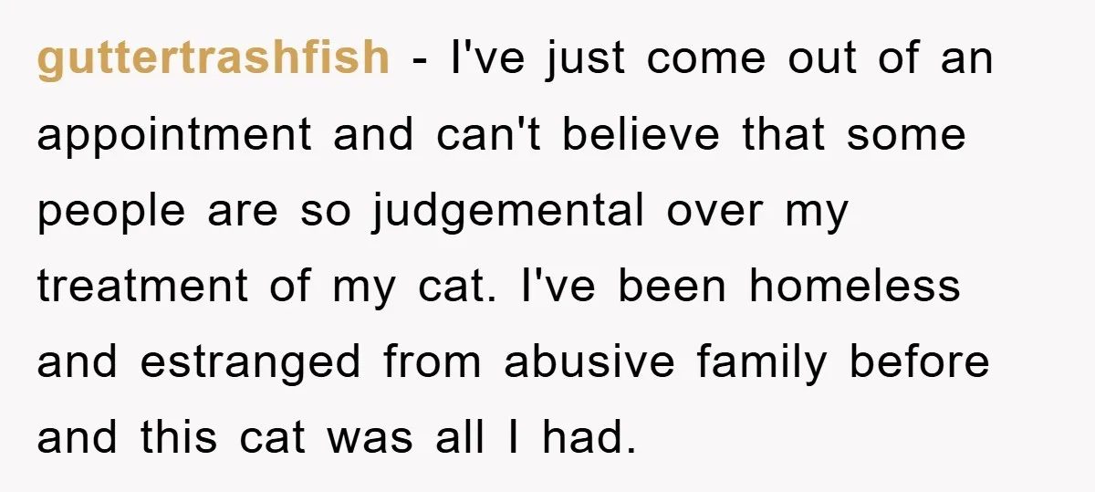 guttertrashfish − I've just come out of an appointment and can't believe that some people are so judgemental over my treatment of my cat. I've been homeless and estranged from...