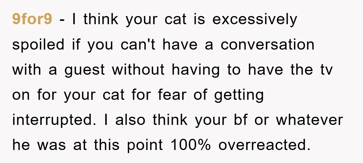 9for9 − I think your cat is excessively spoiled if you can't have a conversation with a guest without having to have the tv on for your cat for fear...
