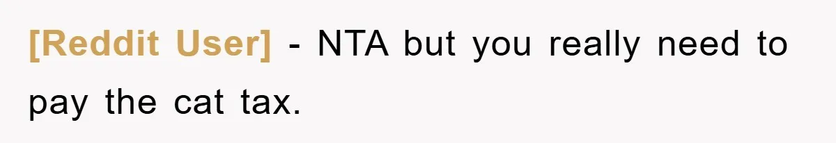 [Reddit User] − NTA but you really need to pay the cat tax.