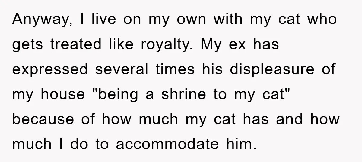 Anyway, I live on my own with my cat who gets treated like royalty. My ex has expressed several times his displeasure of my house "being a shrine to my...