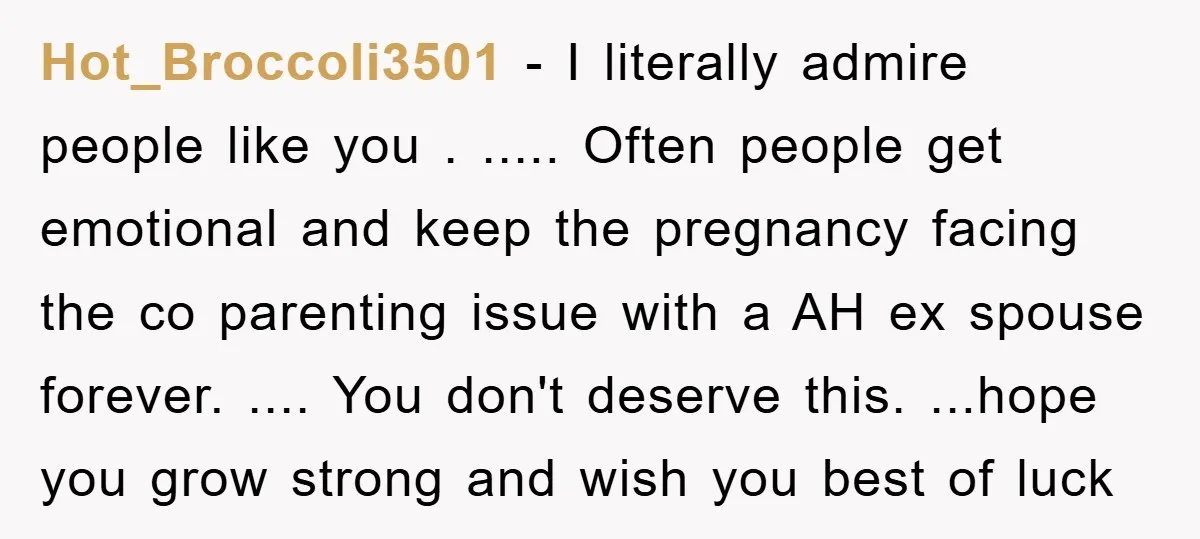 Hot_Broccoli3501 − I literally admire people like you . ..... Often people get emotional and keep the pregnancy facing the co parenting issue with a AH ex spouse forever. .......