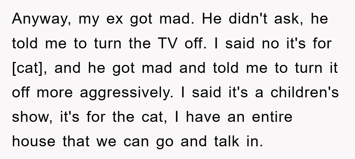 Anyway, my ex got mad. He didn't ask, he told me to turn the TV off. I said no it's for [cat], and he got mad and told me to...