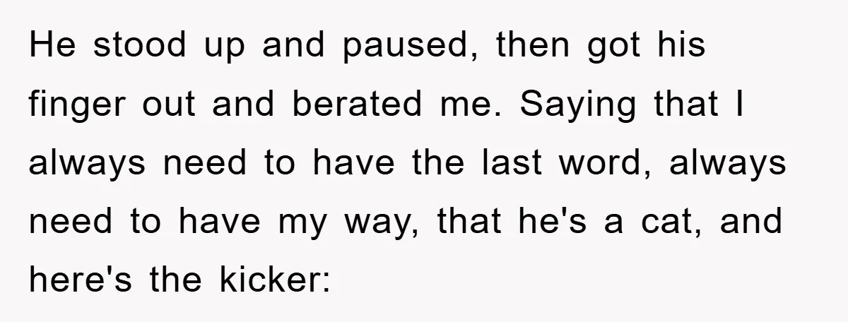 He stood up and paused, then got his finger out and berated me. Saying that I always need to have the last word, always need to have my way, that...
