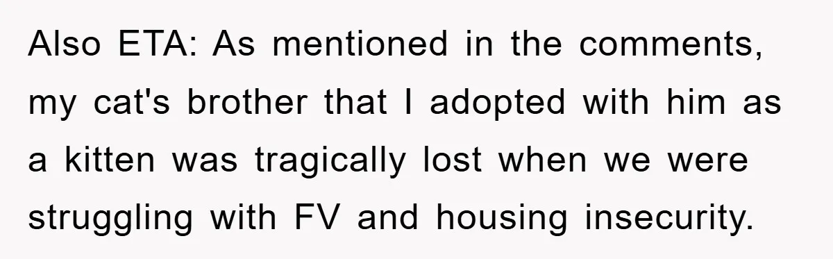 Also ETA: As mentioned in the comments, my cat's brother that I adopted with him as a kitten was tragically lost when we were struggling with FV and housing insecurity.