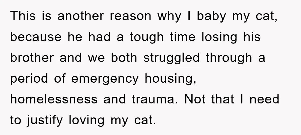This is another reason why I baby my cat, because he had a tough time losing his brother and we both struggled through a period of emergency housing, homelessness and...
