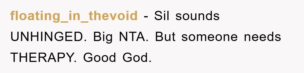 floating_in_thevoid − Sil sounds UNHINGED. Big NTA. But someone needs THERAPY. Good God.