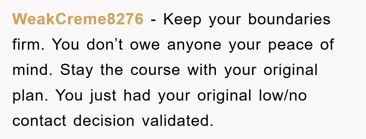 WeakCreme8276 − Keep your boundaries firm. You don’t owe anyone your peace of mind. Stay the course with your original plan. You just had your original low/no contact decision validated.