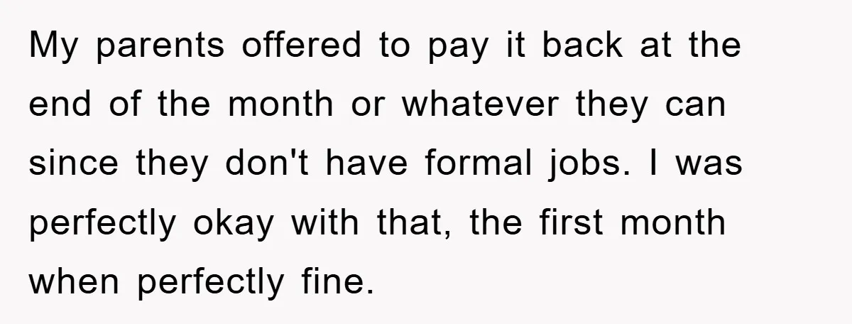 My parents offered to pay it back at the end of the month or whatever they can since they don't have formal jobs. I was perfectly okay with that, the...