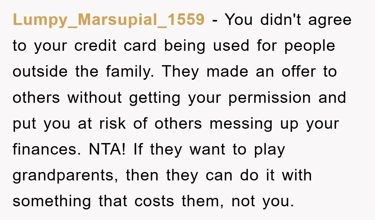 Lumpy_Marsupial_1559 − You didn't agree to your credit card being used for people outside the family. They made an offer to others without getting your permission and put you at...