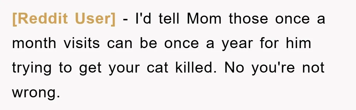 [Reddit User] − I'd tell Mom those once a month visits can be once a year for him trying to get your cat killed. No you're not wrong.