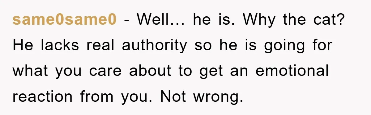 same0same0 − Well… he is. Why the cat? He lacks real authority so he is going for what you care about to get an emotional reaction from you. Not wrong.