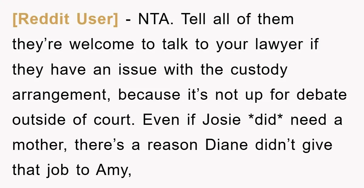 [Reddit User] − NTA. Tell all of them they’re welcome to talk to your lawyer if they have an issue with the custody arrangement, because it’s not up for debate...