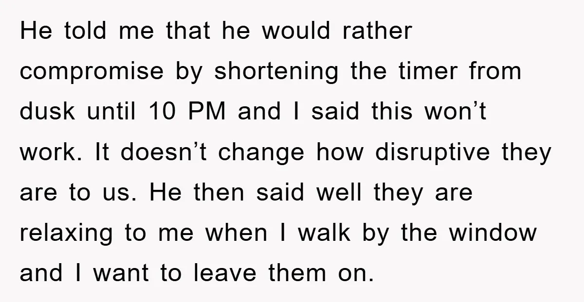 He told me that he would rather compromise by shortening the timer from dusk until 10 PM and I said this won’t work. It doesn’t change how disruptive they are...