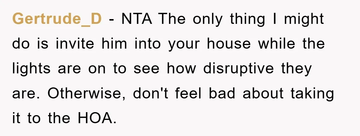 Gertrude_D − NTA The only thing I might do is invite him into your house while the lights are on to see how disruptive they are. Otherwise, don't feel bad...