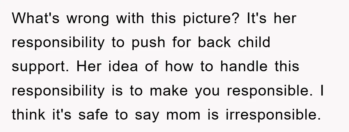 What's wrong with this picture? It's her responsibility to push for back child support. Her idea of how to handle this responsibility is to make you responsible. I think it's...