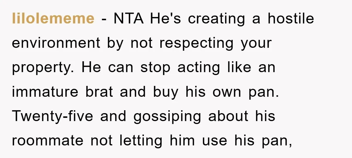 lilolememe − NTA He's creating a hostile environment by not respecting your property. He can stop acting like an immature brat and buy his own pan. Twenty-five and gossiping about...