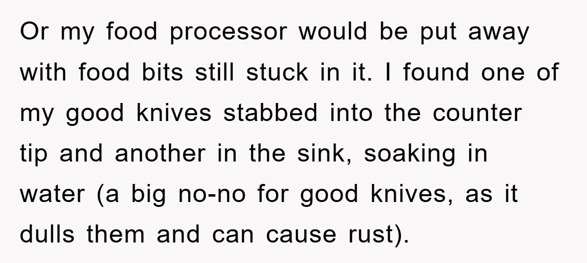 Or my food processor would be put away with food bits still stuck in it. I found one of my good knives stabbed into the counter tip and another in...