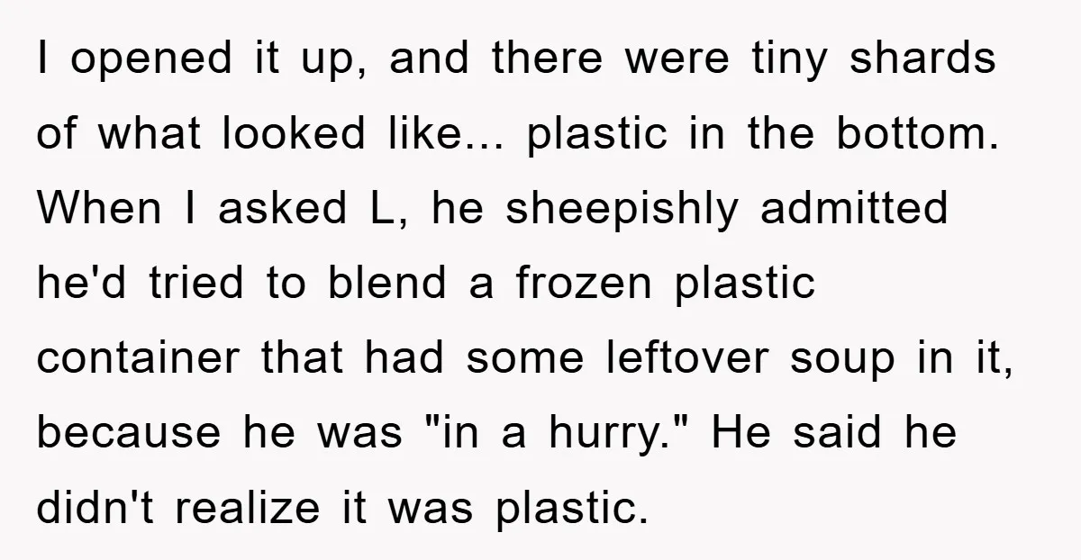 I opened it up, and there were tiny shards of what looked like... plastic in the bottom. When I asked L, he sheepishly admitted he'd tried to blend a frozen...