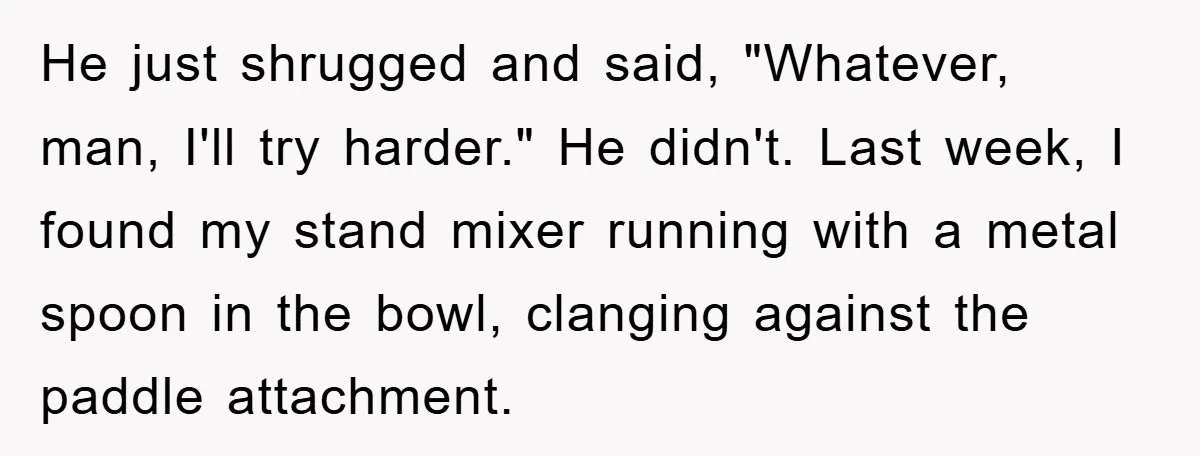 He just shrugged and said, "Whatever, man, I'll try harder." He didn't. Last week, I found my stand mixer running with a metal spoon in the bowl, clanging against the...