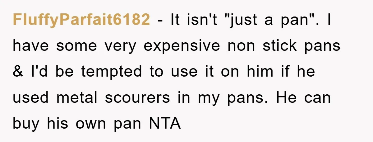 FluffyParfait6182 − It isn't "just a pan". I have some very expensive non stick pans & I'd be tempted to use it on him if he used metal scourers in...