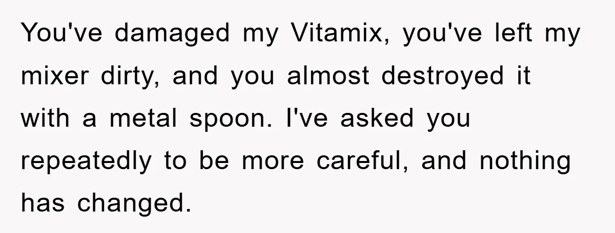 You've damaged my Vitamix, you've left my mixer dirty, and you almost destroyed it with a metal spoon. I've asked you repeatedly to be more careful, and nothing has changed.