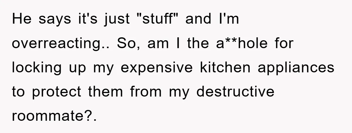 He says it's just "stuff" and I'm overreacting.. So, am I the a**hole for locking up my expensive kitchen appliances to protect them from my destructive roommate?.