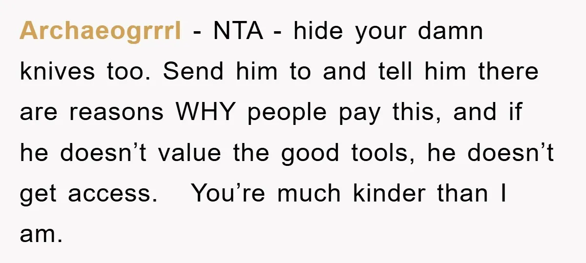 Archaeogrrrl − NTA - hide your damn knives too. Send him to and tell him there are reasons WHY people pay this, and if he doesn’t value the good tools,...