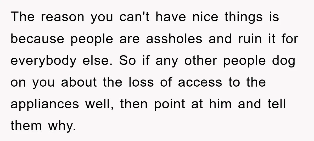 The reason you can't have nice things is because people are assholes and ruin it for everybody else. So if any other people dog on you about the loss of...
