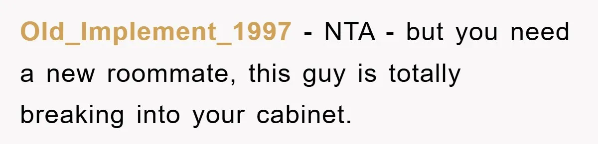 Old_Implement_1997 − NTA - but you need a new roommate, this guy is totally breaking into your cabinet.