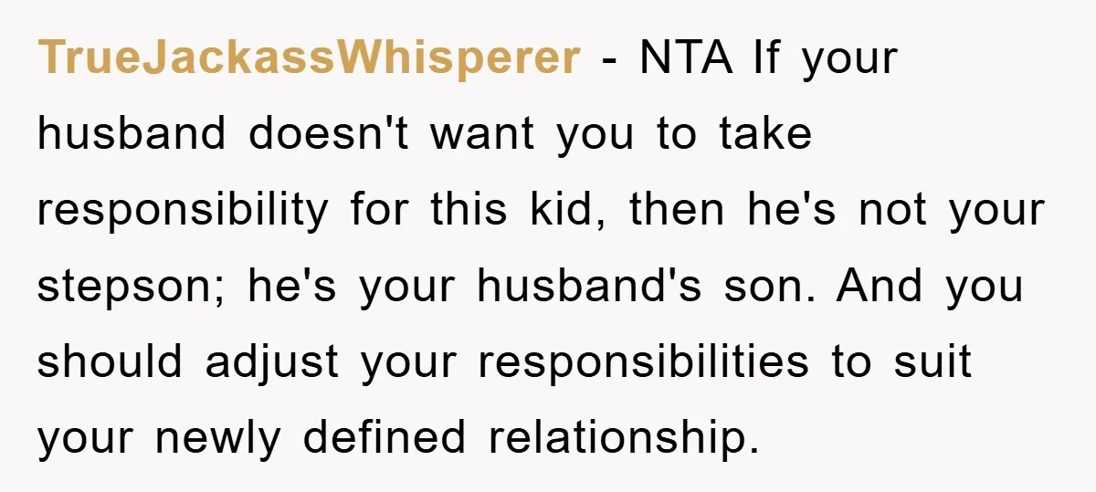 TrueJackassWhisperer − NTA If your husband doesn't want you to take responsibility for this kid, then he's not your stepson; he's your husband's son. And you should adjust your responsibilities...