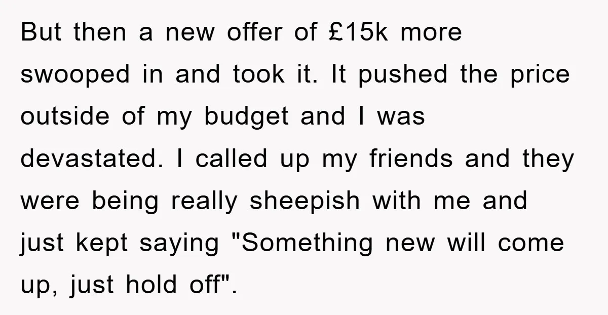 But then a new offer of £15k more swooped in and took it. It pushed the price outside of my budget and I was devastated. I called up my friends...