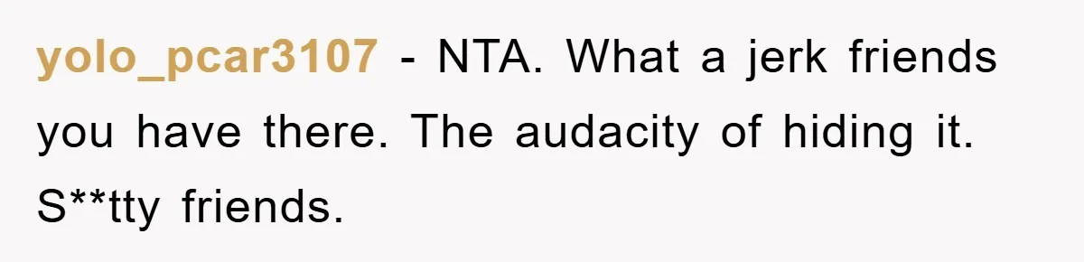 yolo_pcar3107 − NTA. What a jerk friends you have there. The audacity of hiding it. S**tty friends.