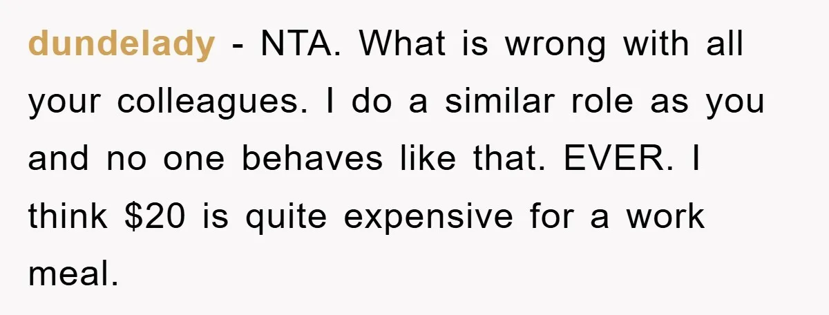 dundelady − NTA. What is wrong with all your colleagues. I do a similar role as you and no one behaves like that. EVER. I think $20 is quite expensive...