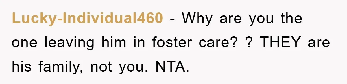 Lucky-Individual460 − Why are you the one leaving him in foster care? ? THEY are his family, not you. NTA.