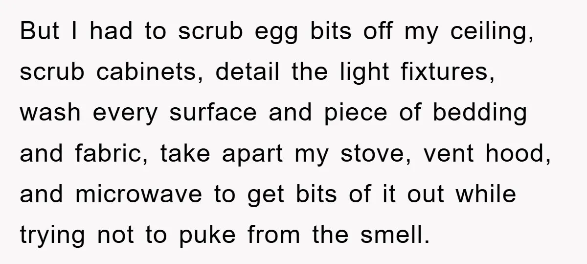 But I had to scrub egg bits off my ceiling, scrub cabinets, detail the light fixtures, wash every surface and piece of bedding and fabric, take apart my stove, vent...