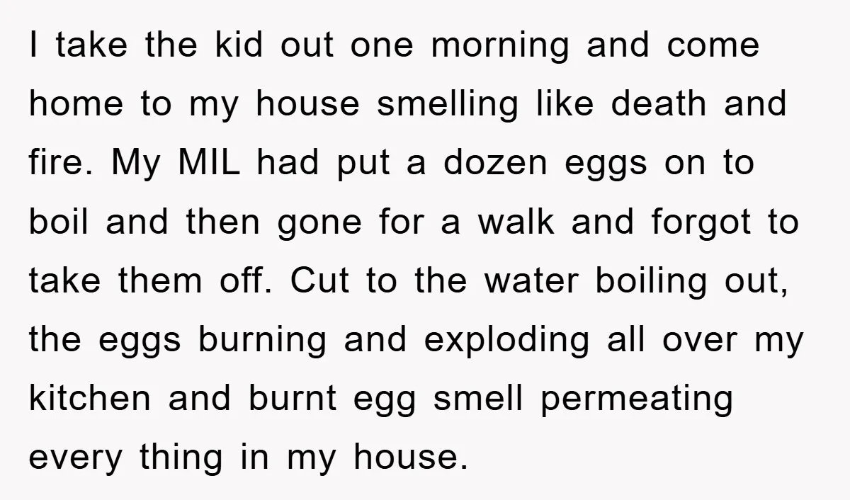 I take the kid out one morning and come home to my house smelling like death and fire. My MIL had put a dozen eggs on to boil and then...