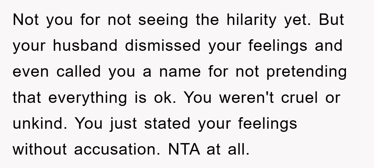 Not you for not seeing the hilarity yet. But your husband dismissed your feelings and even called you a name for not pretending that everything is ok. You weren't cruel...