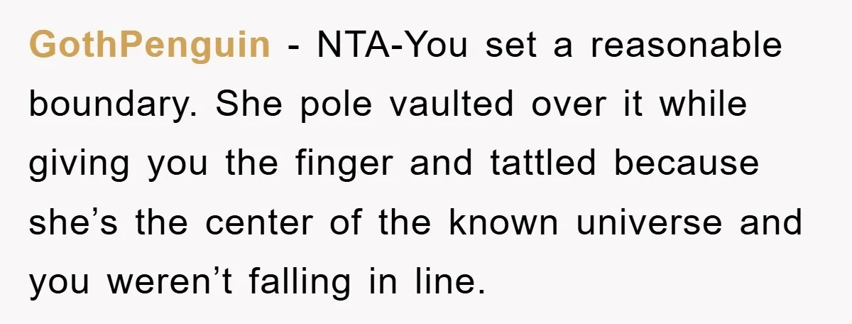 GothPenguin − NTA-You set a reasonable boundary. She pole vaulted over it while giving you the finger and tattled because she’s the center of the known universe and you weren’t...