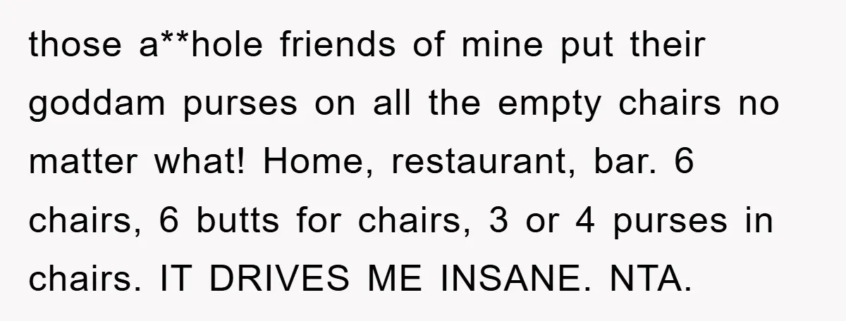 those a**hole friends of mine put their goddam purses on all the empty chairs no matter what! Home, restaurant, bar. 6 chairs, 6 butts for chairs, 3 or 4 purses...