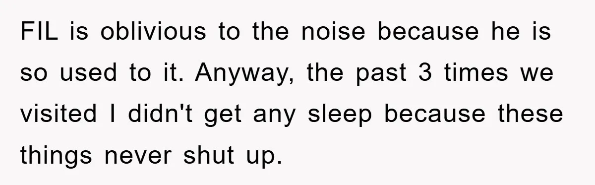 FIL is oblivious to the noise because he is so used to it. Anyway, the past 3 times we visited I didn't get any sleep because these things never shut...
