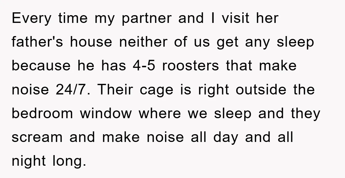 Every time my partner and I visit her father's house neither of us get any sleep because he has 4-5 roosters that make noise 24/7. Their cage is right outside...
