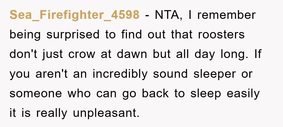 Sea_Firefighter_4598 − NTA, I remember being surprised to find out that roosters don't just crow at dawn but all day long. If you aren't an incredibly sound sleeper or someone...