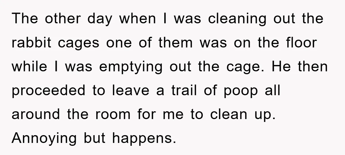 The other day when I was cleaning out the rabbit cages one of them was on the floor while I was emptying out the cage. He then proceeded to leave...