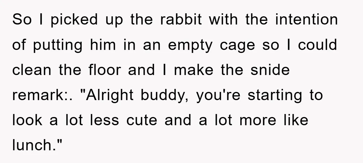 So I picked up the rabbit with the intention of putting him in an empty cage so I could clean the floor and I make the snide remark:. "Alright buddy,...