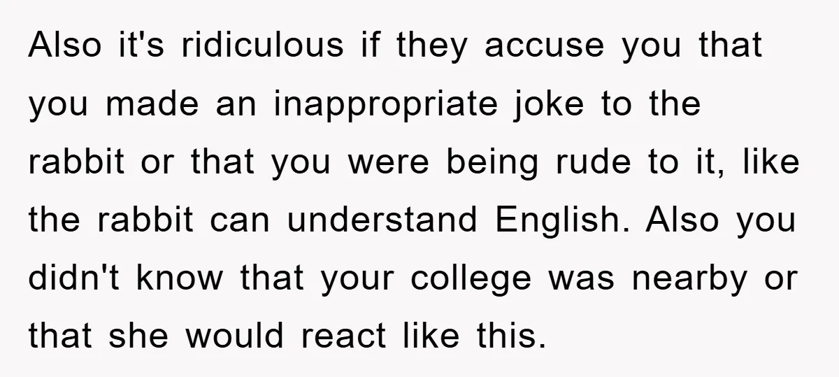 Also it's ridiculous if they accuse you that you made an inappropriate joke to the rabbit or that you were being rude to it, like the rabbit can understand English....
