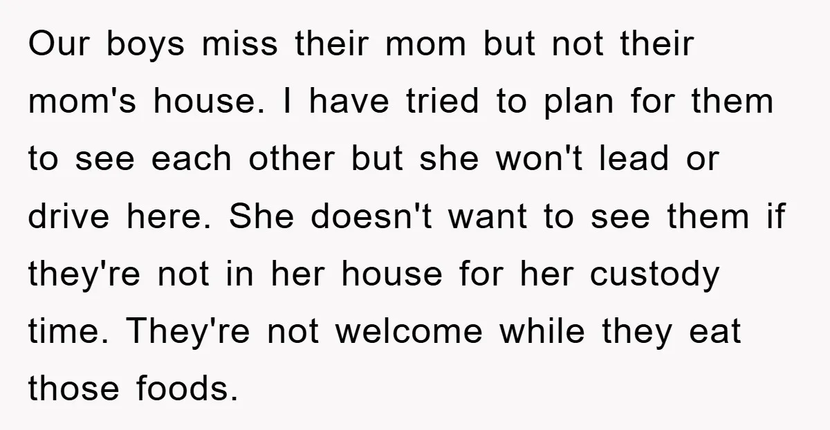 Our boys miss their mom but not their mom's house. I have tried to plan for them to see each other but she won't lead or drive here. She doesn't...