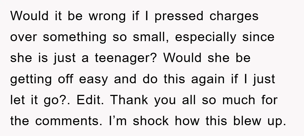 Would it be wrong if I pressed charges over something so small, especially since she is just a teenager? Would she be getting off easy and do this again if...