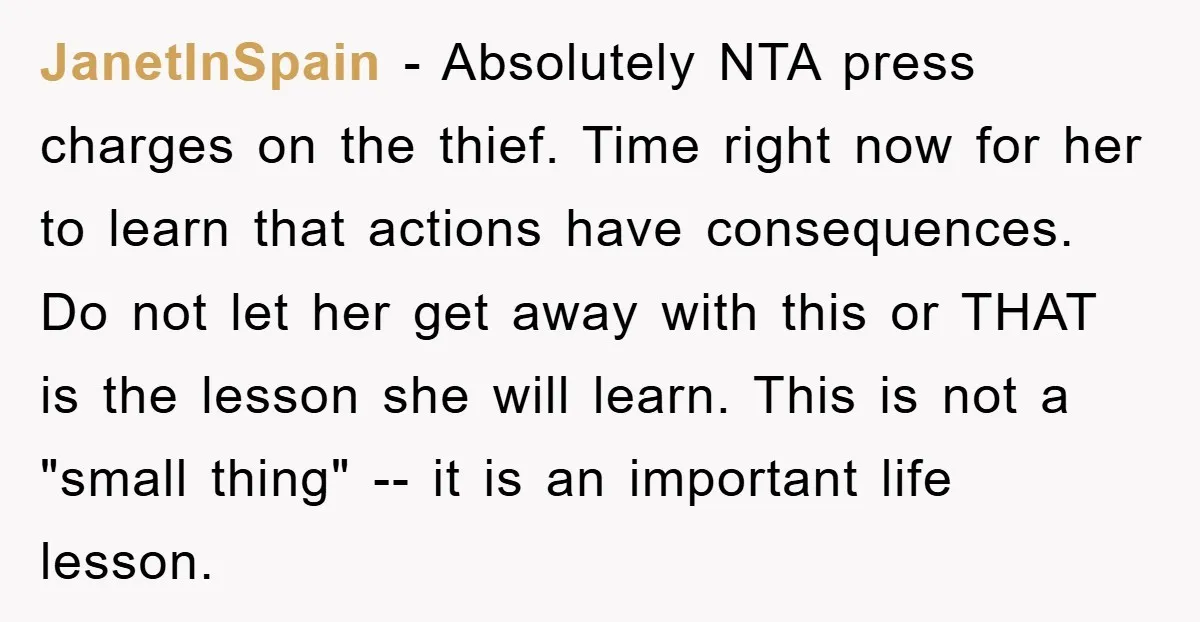 JanetInSpain − Absolutely NTA press charges on the thief. Time right now for her to learn that actions have consequences. Do not let her get away with this or THAT...