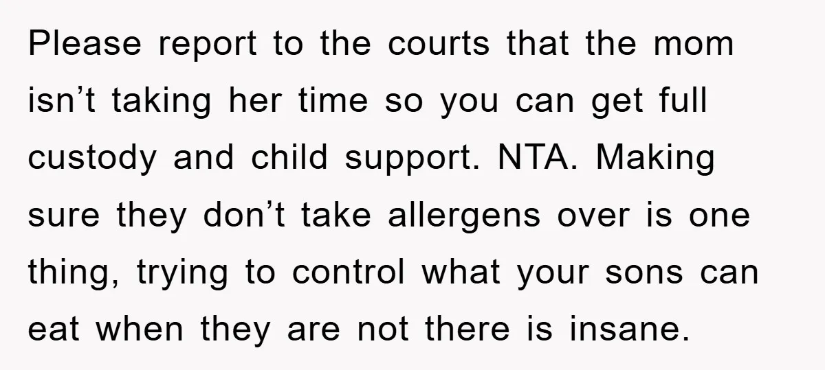 Please report to the courts that the mom isn’t taking her time so you can get full custody and child support. NTA. Making sure they don’t take allergens over is...